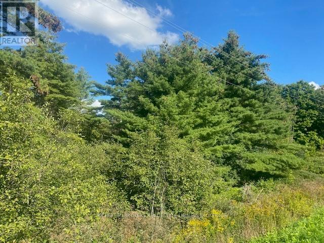 000 County Rd 11, Jones Falls Road, Rideau Lakes, Ontario  K0G 1E0 - Photo 10 - X12277159