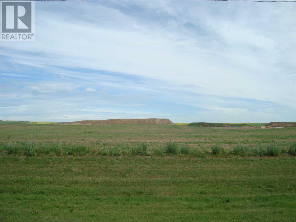 1000 North Road, Trochu, Alberta  T0M 2C0 - Photo 3 - A2238316