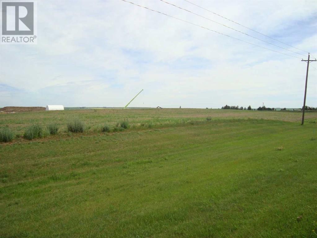1000 North Road, Trochu, Alberta  T0M 2C0 - Photo 4 - A2238316