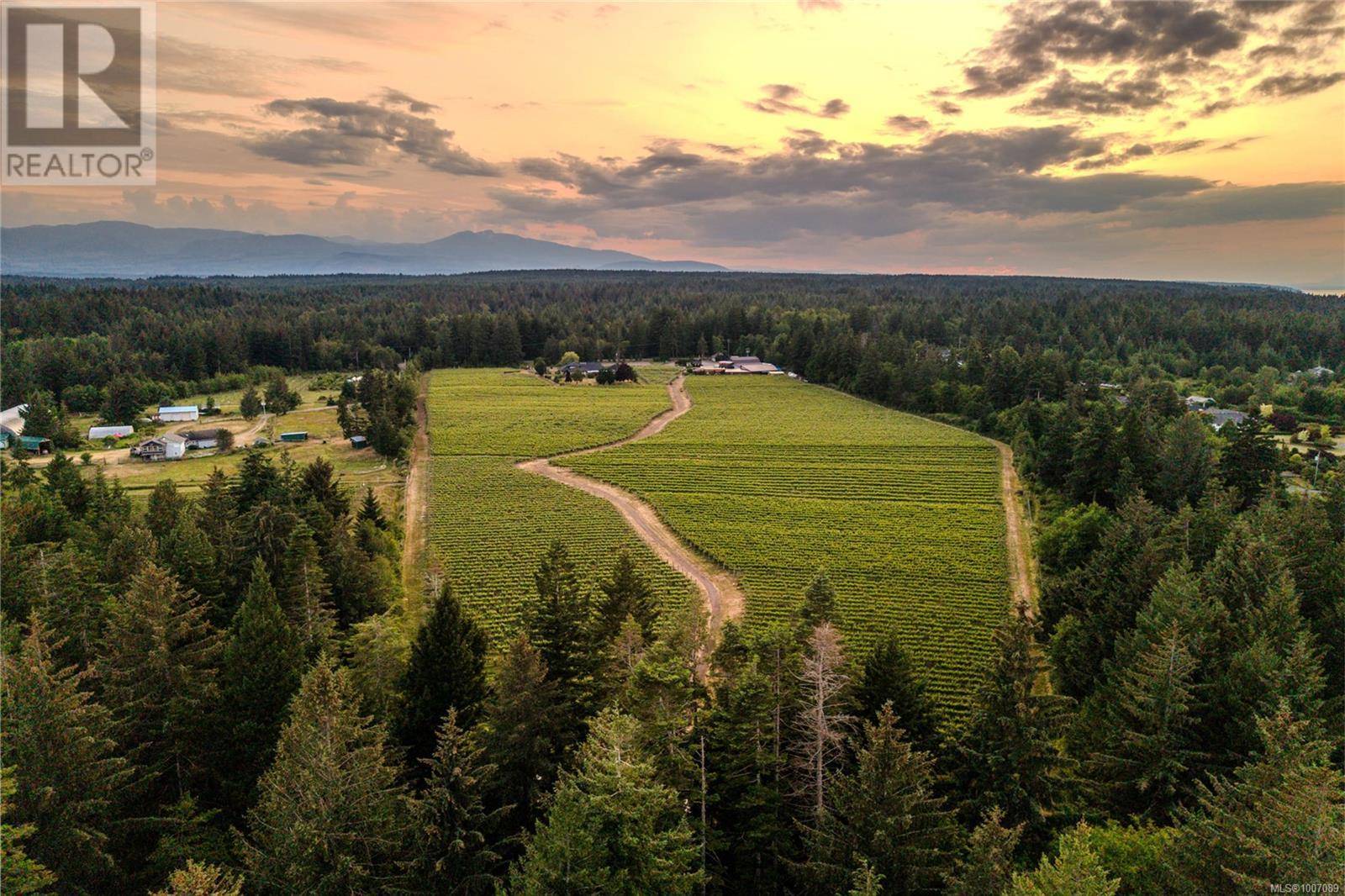 2400 Anderton Rd, Comox, British Columbia  V9M 8E5 - Photo 8 - 1007089