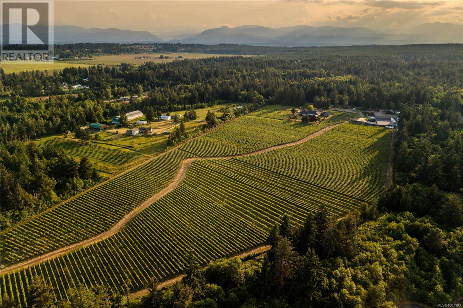 2400 Anderton Rd, Comox, British Columbia  V9M 8E5 - Photo 10 - 1007103