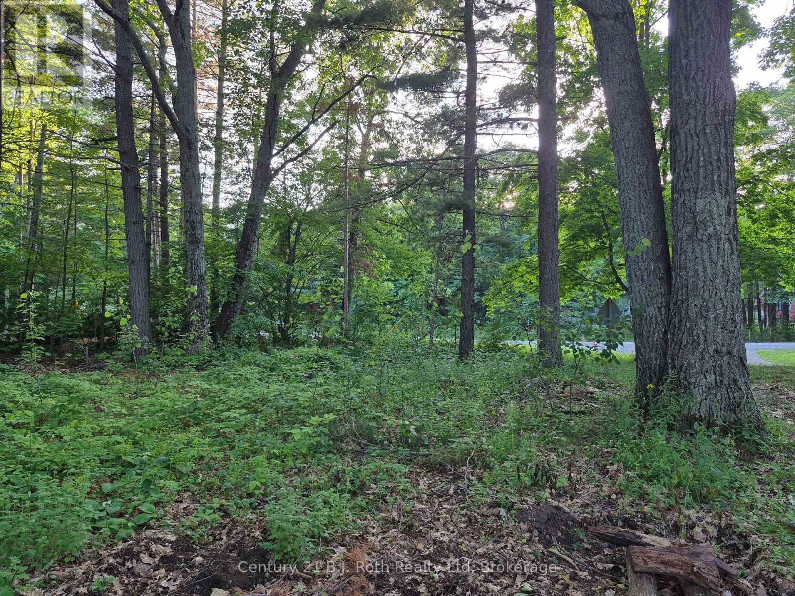 1379 Champlain Road, Tiny, Ontario  L9M 0C1 - Photo 7 - S12277434