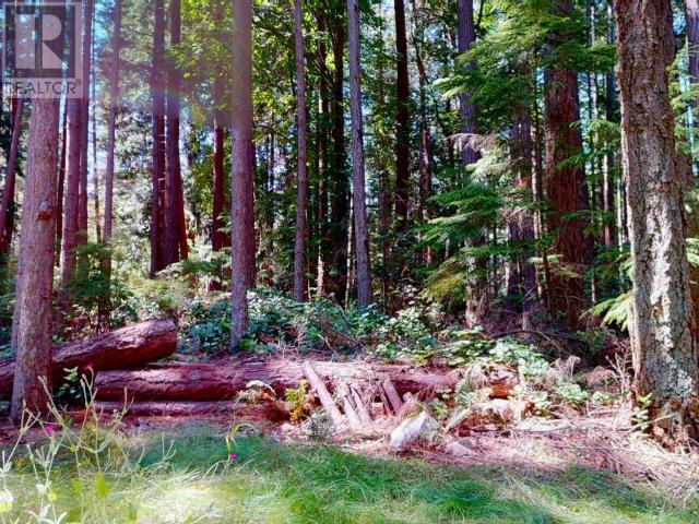 1297 Tennyson Rd, Savary Island, British Columbia   - Photo 33 - 19135