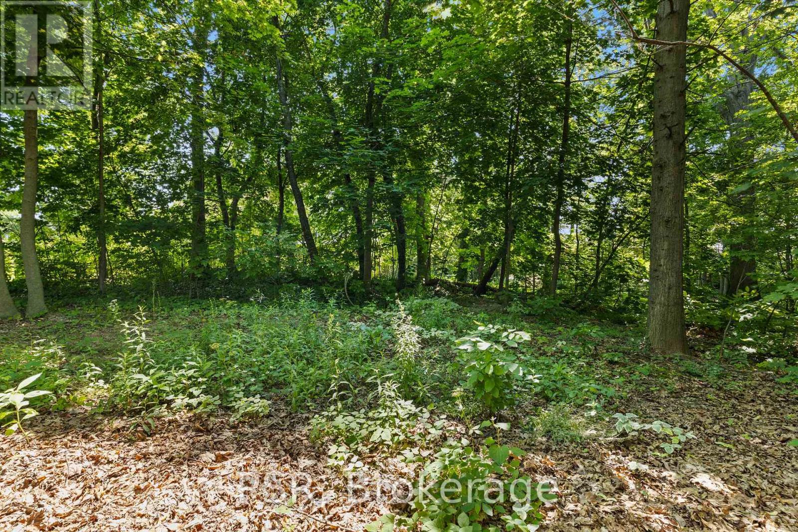 456 William Street, Niagara-On-The-Lake, Ontario  L0S 1J0 - Photo 12 - X12277458