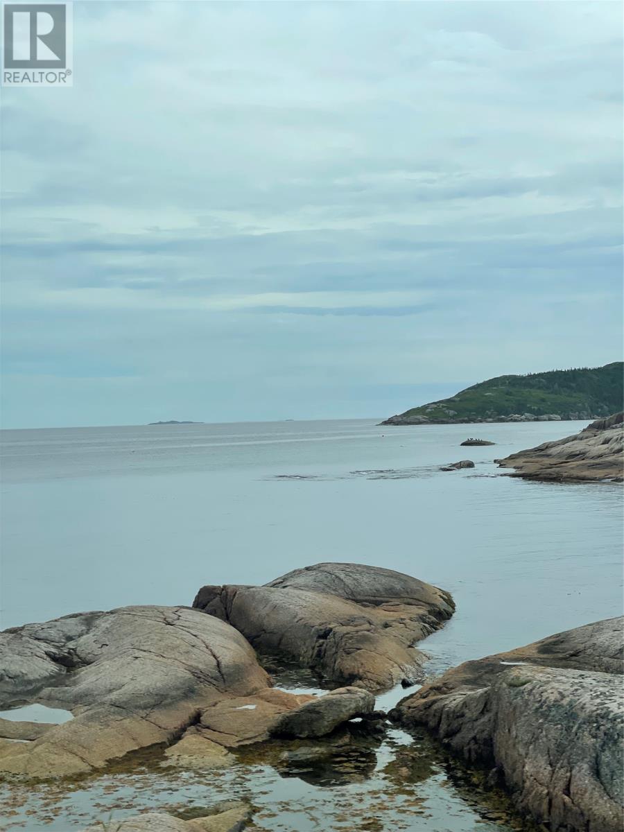 167 Fault Drive, Dover, Newfoundland & Labrador  A0G 1X0 - Photo 19 - 1287500