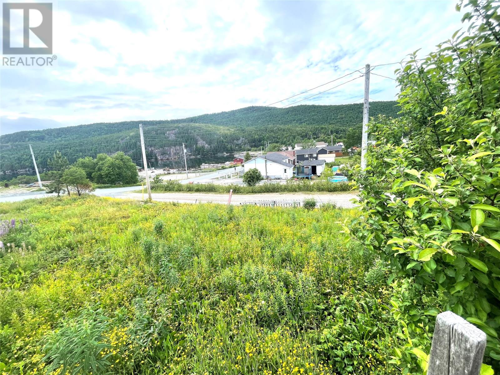 167 Fault Drive, Dover, Newfoundland & Labrador  A0G 1X0 - Photo 11 - 1287500