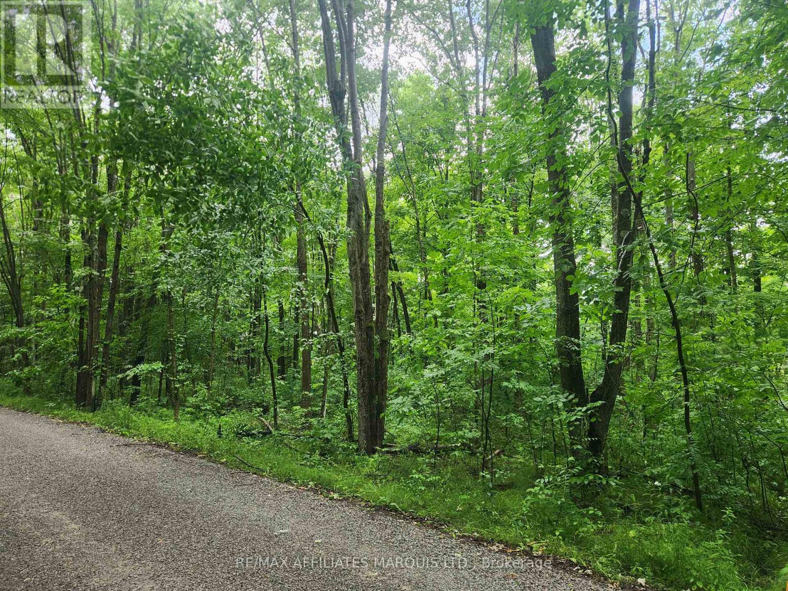 Lot Cedar Sands Road, Rideau Lakes, Ontario  K0E 1N0 - Photo 2 - X12277755