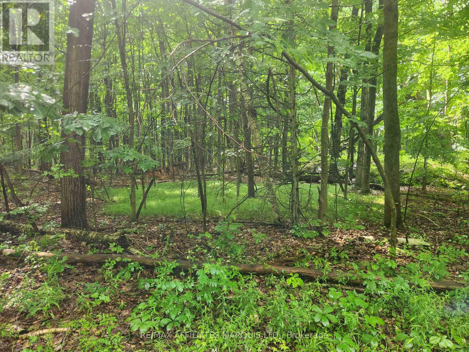 Lot Cedar Sands Road, Rideau Lakes, Ontario  K0E 1N0 - Photo 3 - X12277755