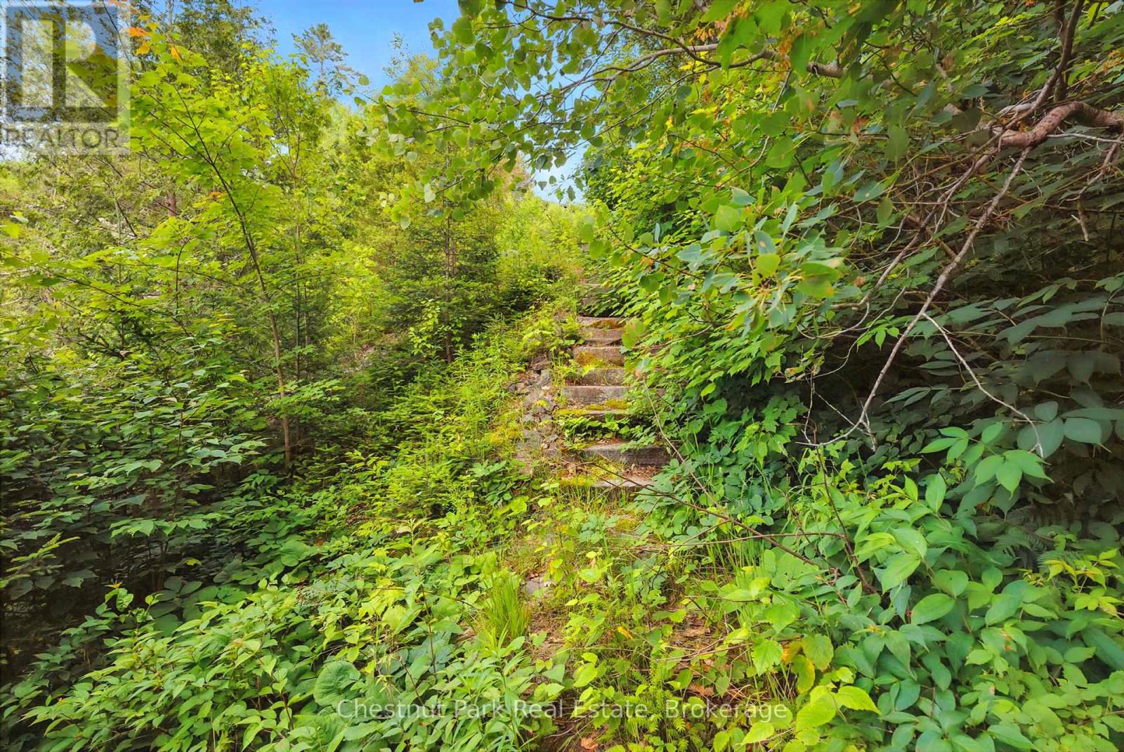 80 Cedar Lane, Joly, Ontario  P0A 1Z0 - Photo 46 - X12278012