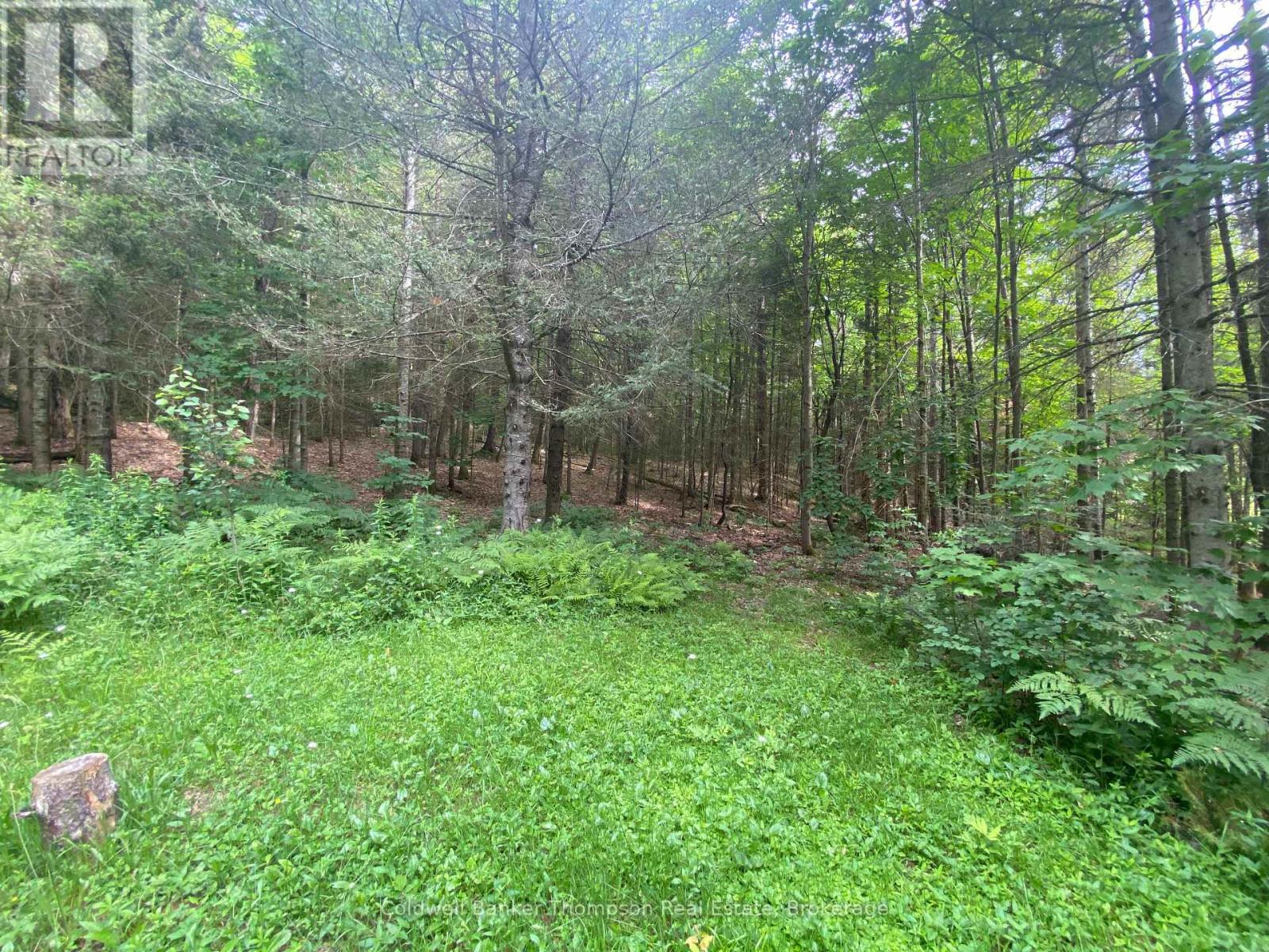 440 Riding Ranch Road, Machar, Ontario  P0A 1X0 - Photo 10 - X12278146