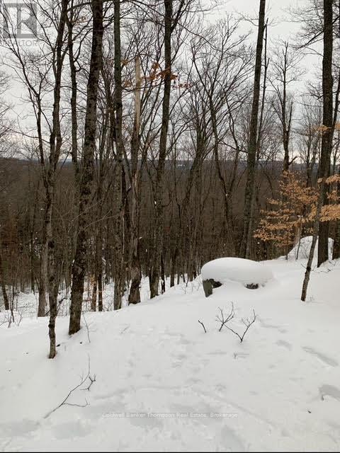 440 Riding Ranch Road, Machar, Ontario  P0A 1X0 - Photo 16 - X12278146