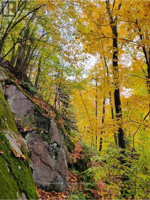 440 Riding Ranch Road, Machar, Ontario  P0A 1X0 - Photo 19 - X12278146