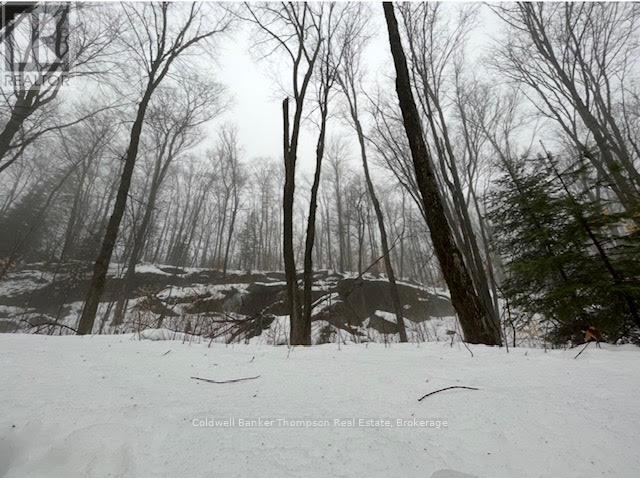440 Riding Ranch Road, Machar, Ontario  P0A 1X0 - Photo 20 - X12278146