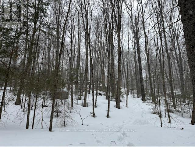 440 Riding Ranch Road, Machar, Ontario  P0A 1X0 - Photo 22 - X12278146