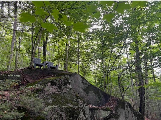 440 Riding Ranch Road, Machar, Ontario  P0A 1X0 - Photo 24 - X12278146