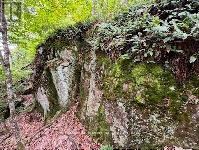 440 Riding Ranch Road, Machar, Ontario  P0A 1X0 - Photo 26 - X12278146