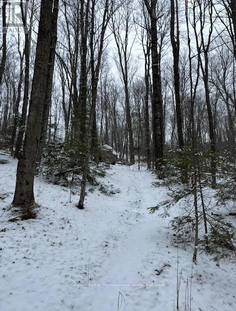 440 Riding Ranch Road, Machar, Ontario  P0A 1X0 - Photo 27 - X12278146