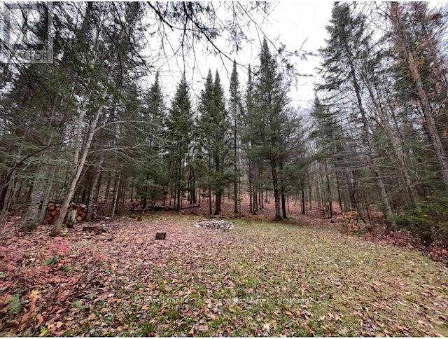 440 Riding Ranch Road, Machar, Ontario  P0A 1X0 - Photo 28 - X12278146