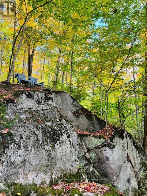 440 Riding Ranch Road, Machar, Ontario  P0A 1X0 - Photo 29 - X12278146