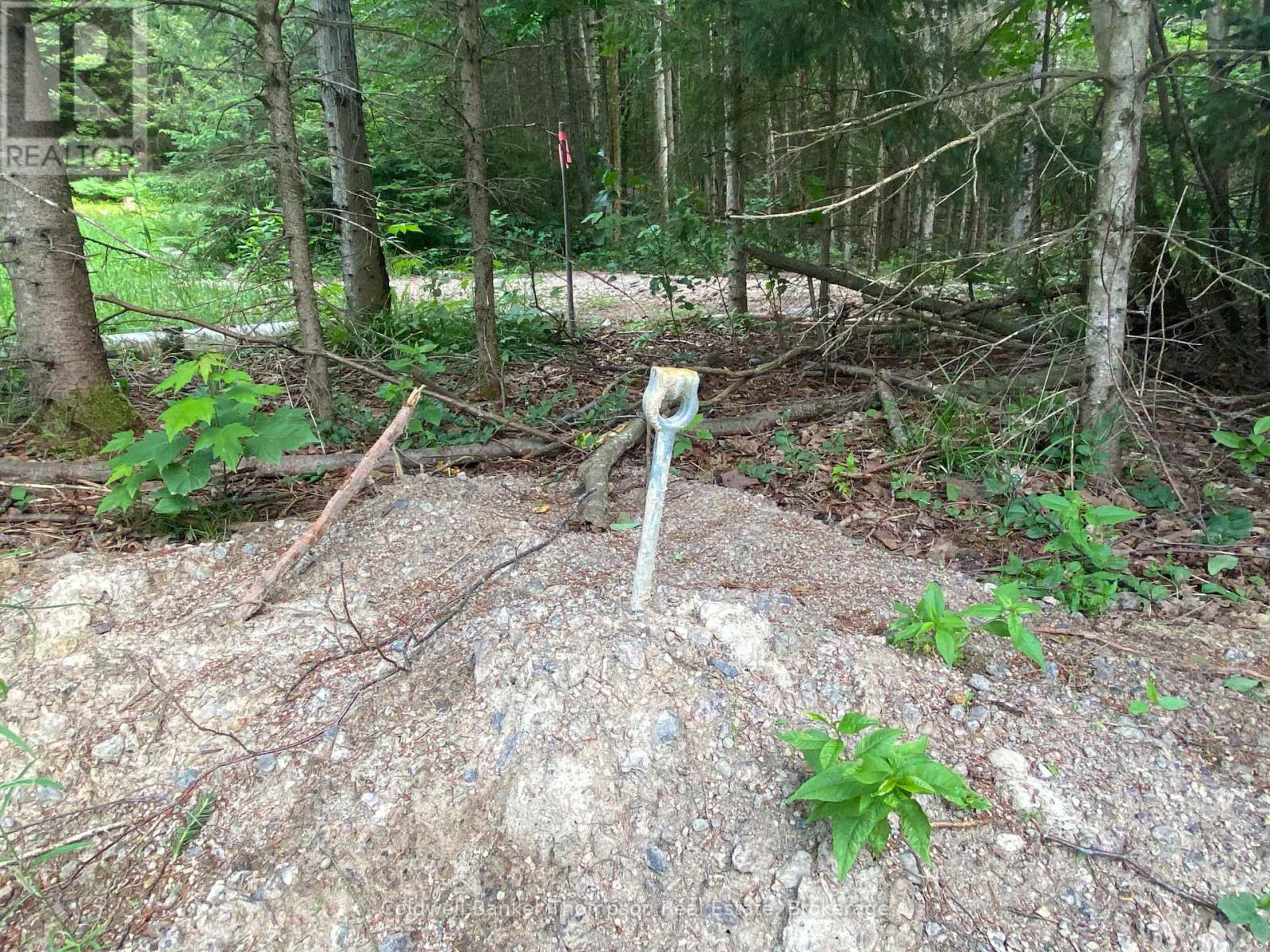 440 Riding Ranch Road, Machar, Ontario  P0A 1X0 - Photo 3 - X12278146