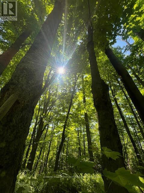 440 Riding Ranch Road, Machar, Ontario  P0A 1X0 - Photo 32 - X12278146