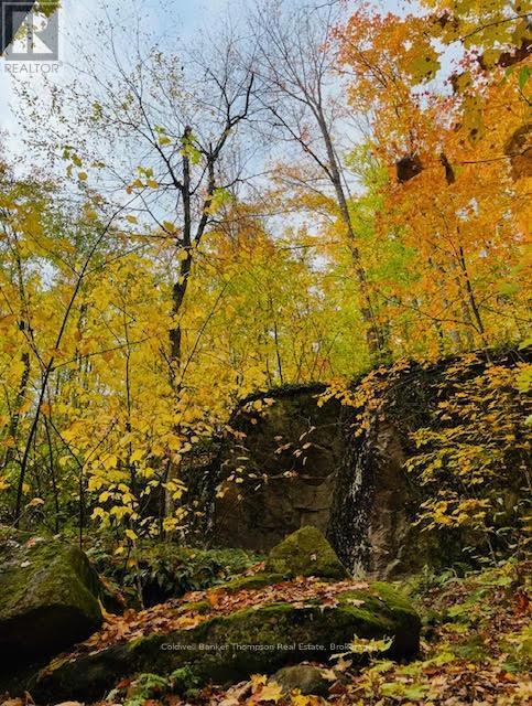 440 Riding Ranch Road, Machar, Ontario  P0A 1X0 - Photo 33 - X12278146