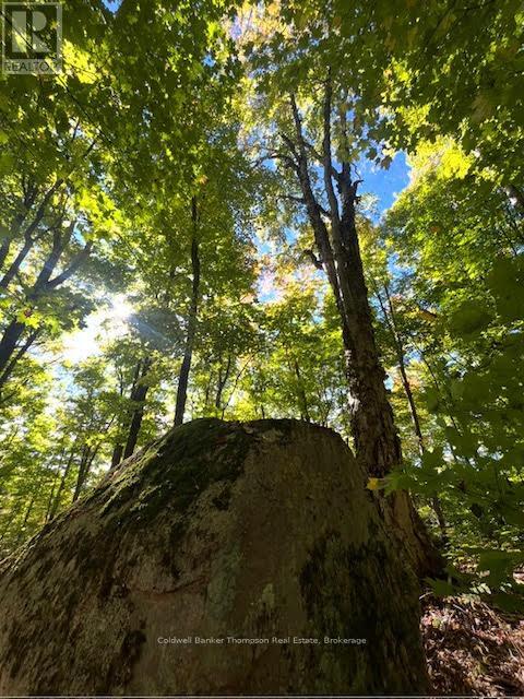 440 Riding Ranch Road, Machar, Ontario  P0A 1X0 - Photo 34 - X12278146