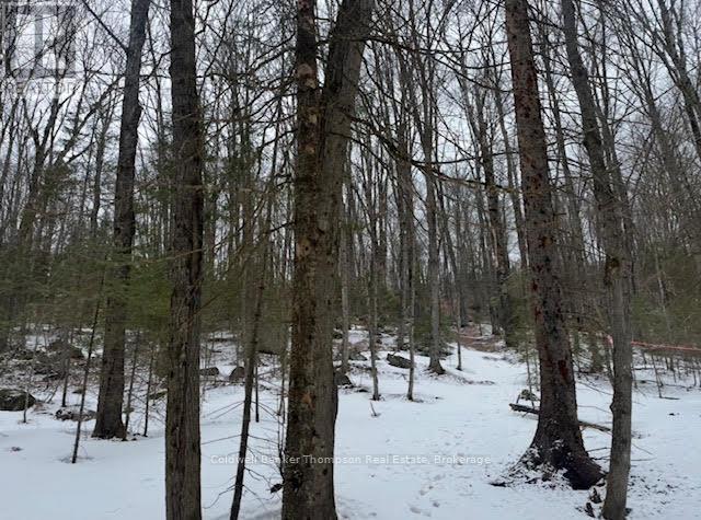 440 Riding Ranch Road, Machar, Ontario  P0A 1X0 - Photo 36 - X12278146