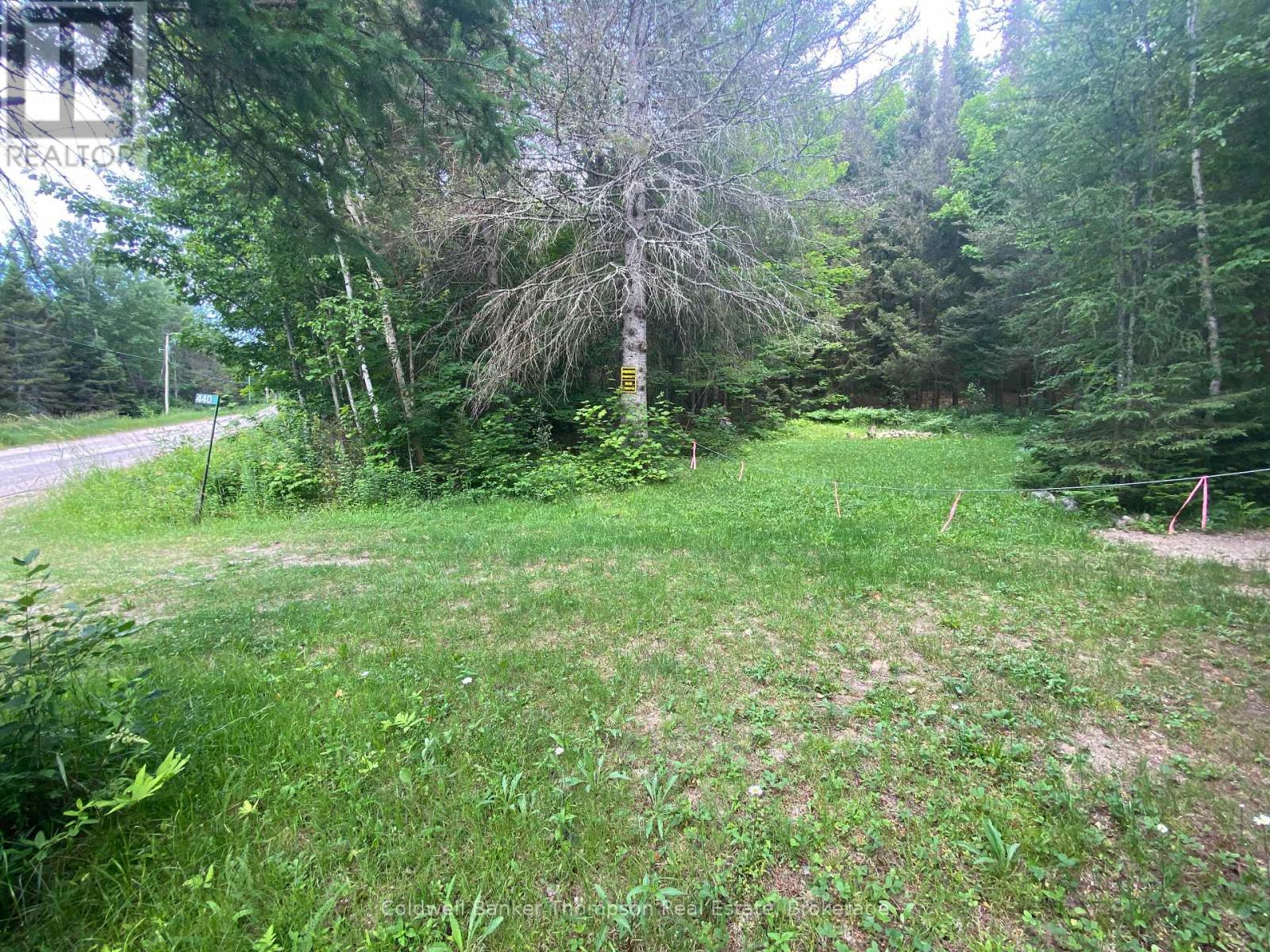 440 Riding Ranch Road, Machar, Ontario  P0A 1X0 - Photo 4 - X12278146