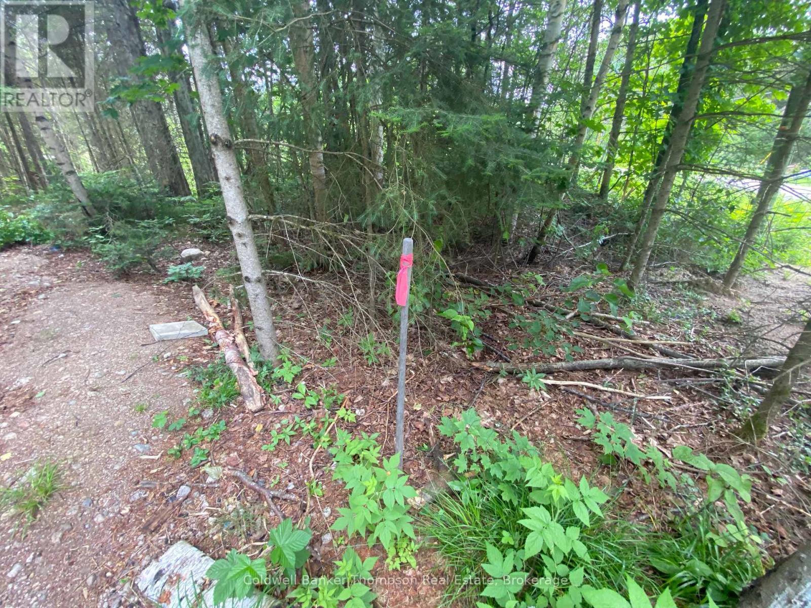 440 Riding Ranch Road, Machar, Ontario  P0A 1X0 - Photo 5 - X12278146