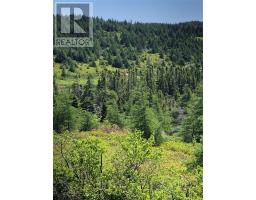 0 Black Duck Pond Road, Bareneed, Newfoundland & Labrador