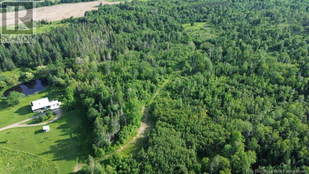 1659 Route 540, Kirkland, New Brunswick  E7N 2K5 - Photo 42 - NB118462