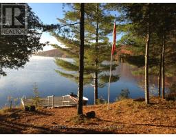 1117 Thunderbird Lane, Birch Island, Highlands East (Bicroft Ward), Ca