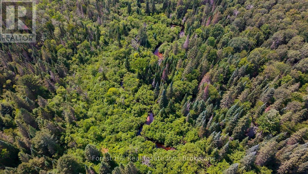750 Whitehouse Road S, Huntsville, Ontario  P1H 2J3 - Photo 4 - X12278274