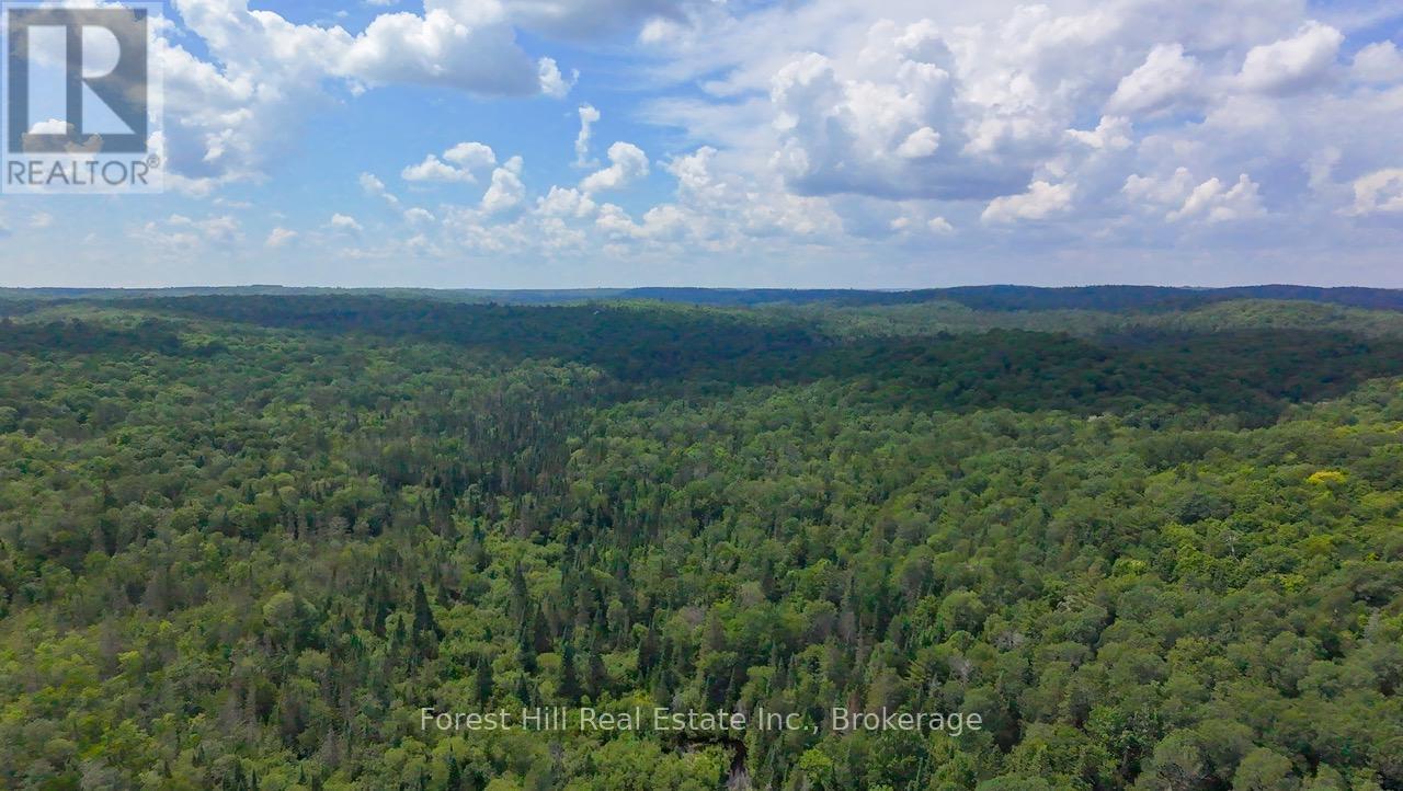 750 Whitehouse Road S, Huntsville, Ontario  P1H 2J3 - Photo 5 - X12278274