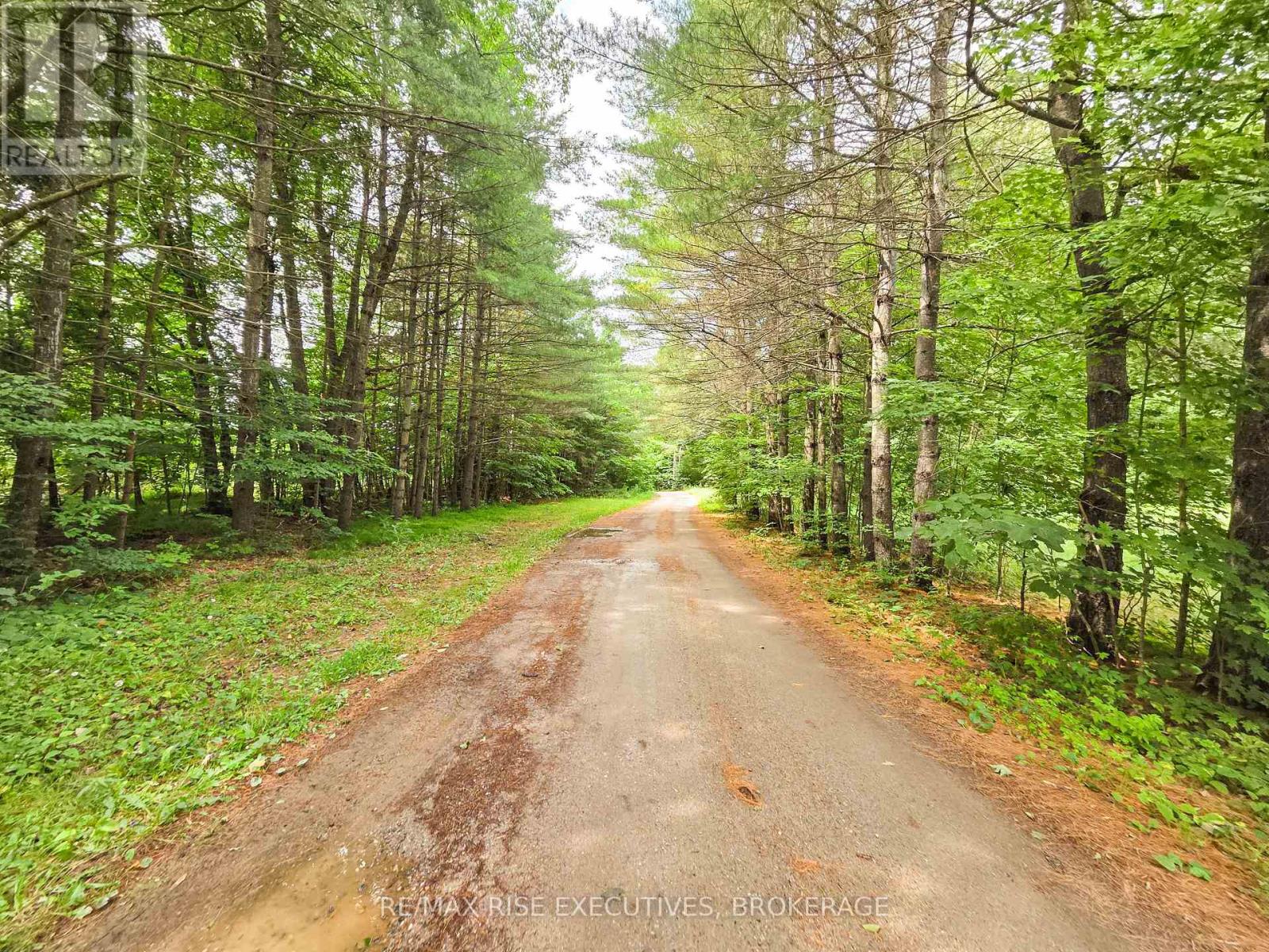 Lot 1 Woodland Park Drive, Central Frontenac, Ontario  K0H 1B0 - Photo 14 - X12234814