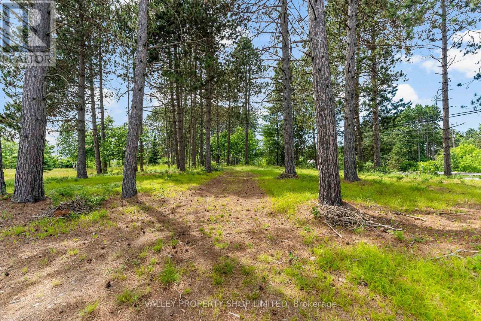 19303 Highway 60 Highway, Madawaska Valley, Ontario  K0J 1B0 - Photo 10 - X12265022