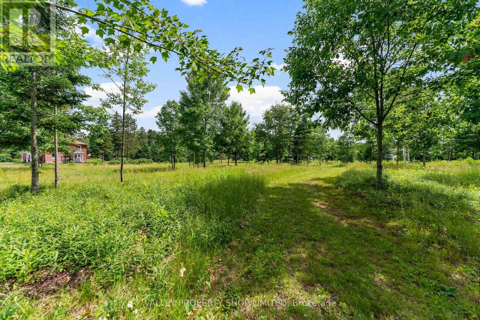 19303 Highway 60 Highway, Madawaska Valley, Ontario  K0J 1B0 - Photo 39 - X12265022