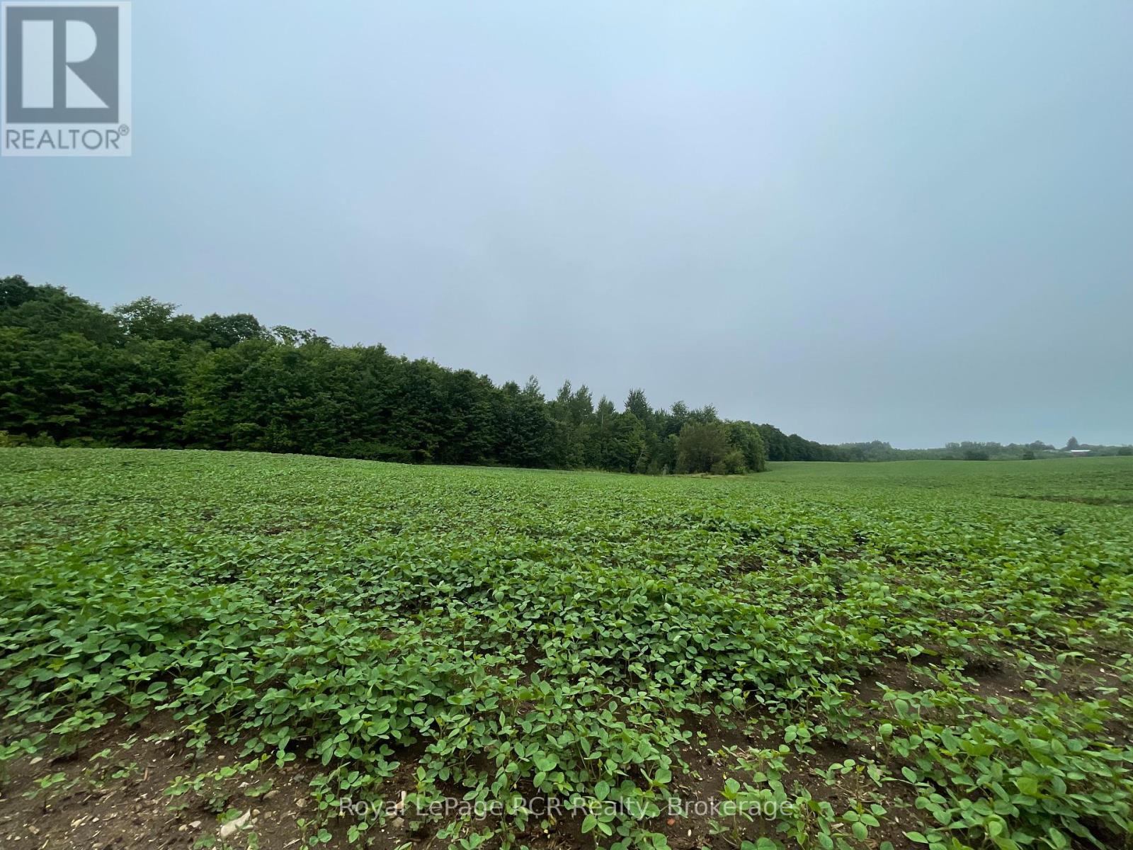 714261 Baseline Road, Grey Highlands, Ontario  N0C 1E0 - Photo 1 - X12278418