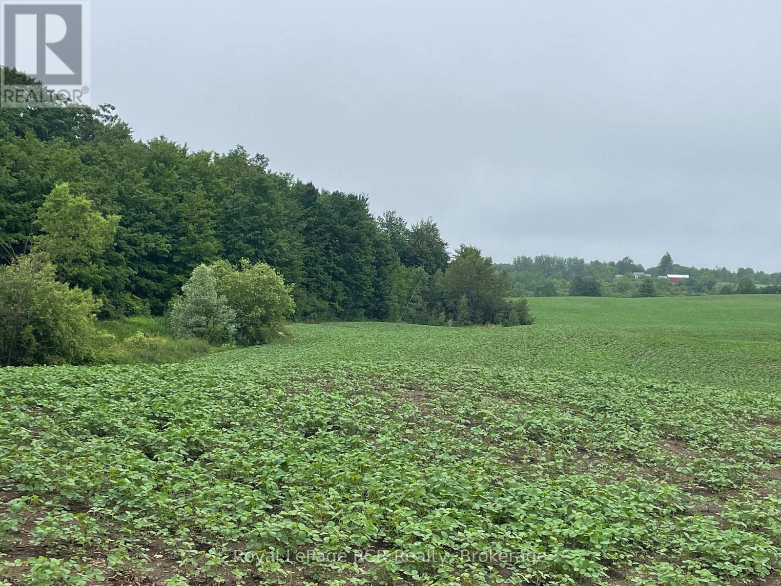 714261 Baseline Road, Grey Highlands, Ontario  N0C 1E0 - Photo 2 - X12278418