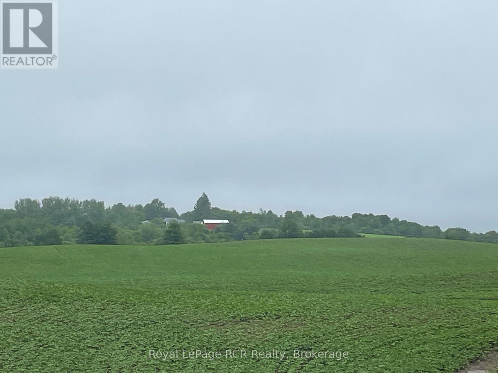 714261 Baseline Road, Grey Highlands, Ontario  N0C 1E0 - Photo 4 - X12278418