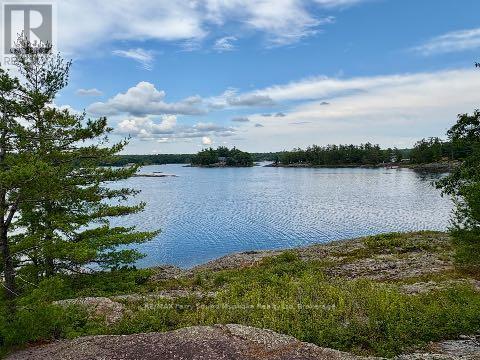 594 Georgian Bay Water, The Archipelago, Ontario  P0C 1H0 - Photo 47 - X12277913