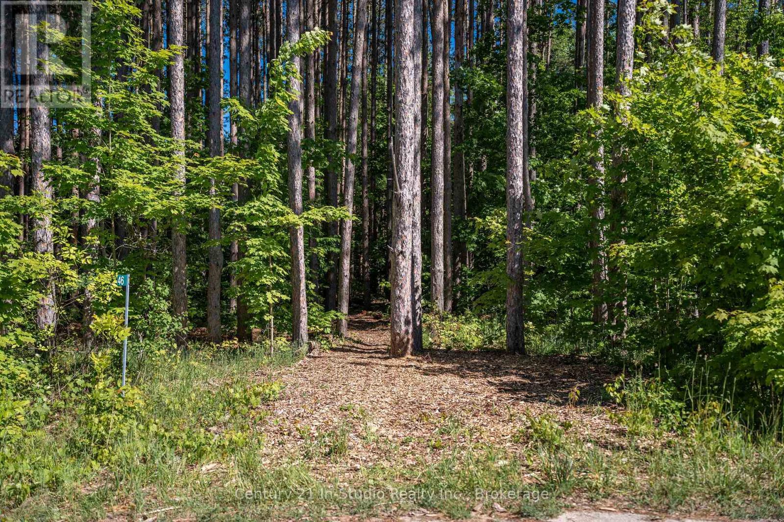 46 Riverside Place, South Bruce Peninsula, Ontario  N0H 2G0 - Photo 10 - X12278633