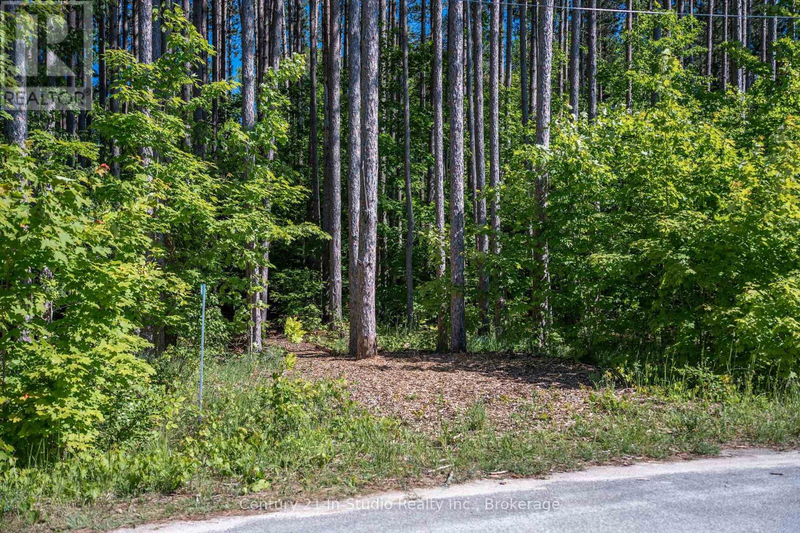 46 Riverside Place, South Bruce Peninsula, Ontario  N0H 2G0 - Photo 11 - X12278633