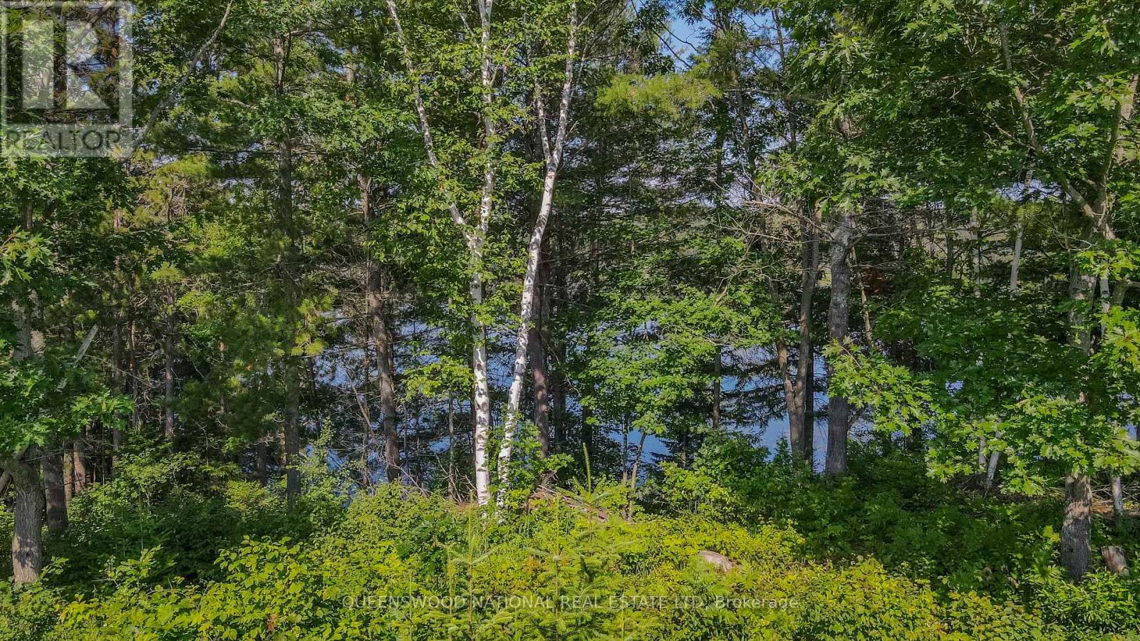 0 Lakeview Parkway N, Madawaska Valley, Ontario  K0J 1B0 - Photo 5 - X12273647