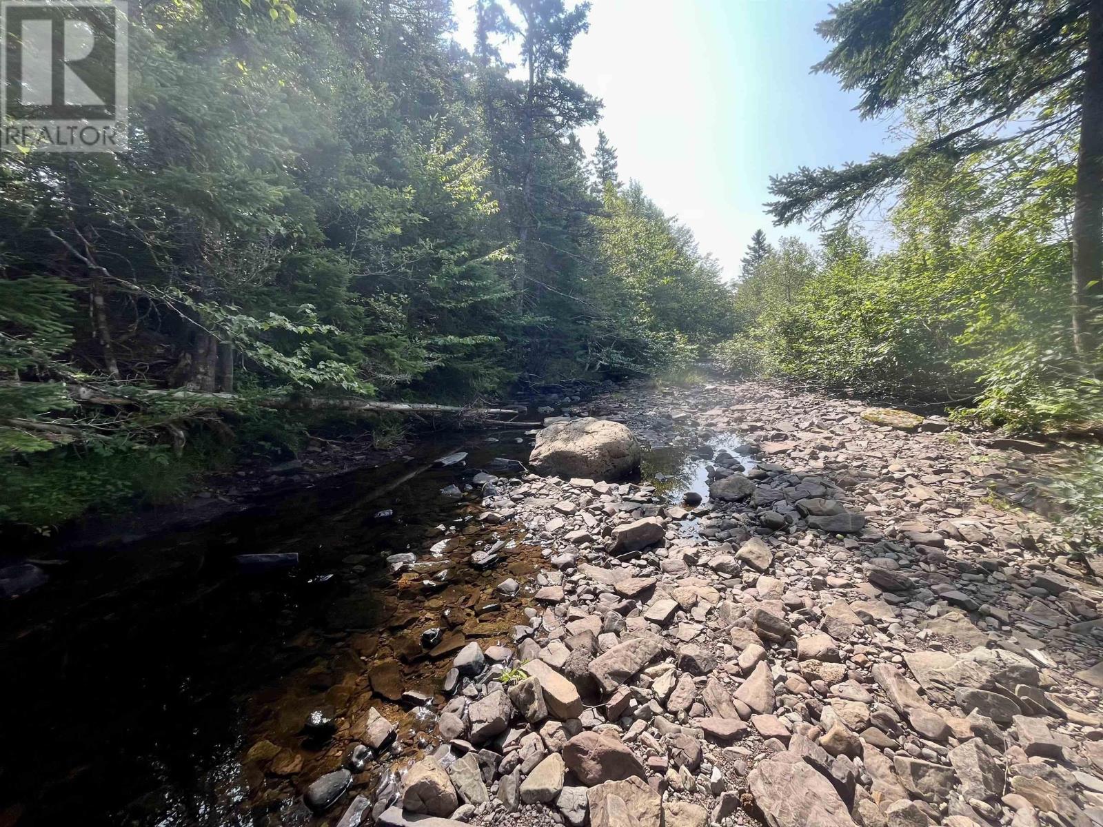 1520 Back Road, River Bourgeois, Nova Scotia  B0E 2X0 - Photo 28 - 202517329