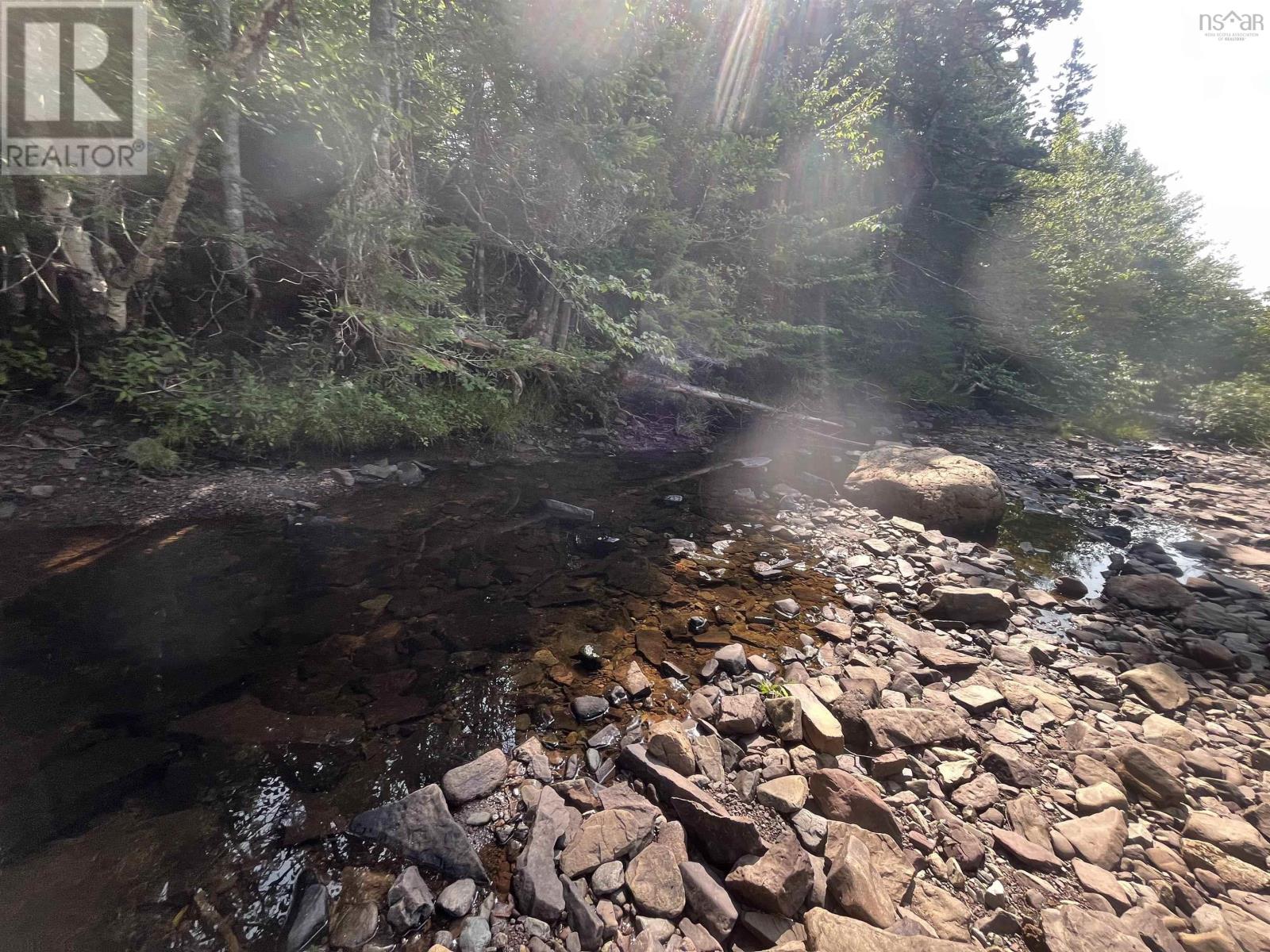 1520 Back Road, River Bourgeois, Nova Scotia  B0E 2X0 - Photo 29 - 202517329