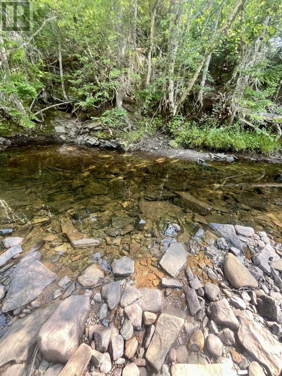 1520 Back Road, River Bourgeois, Nova Scotia  B0E 2X0 - Photo 30 - 202517329