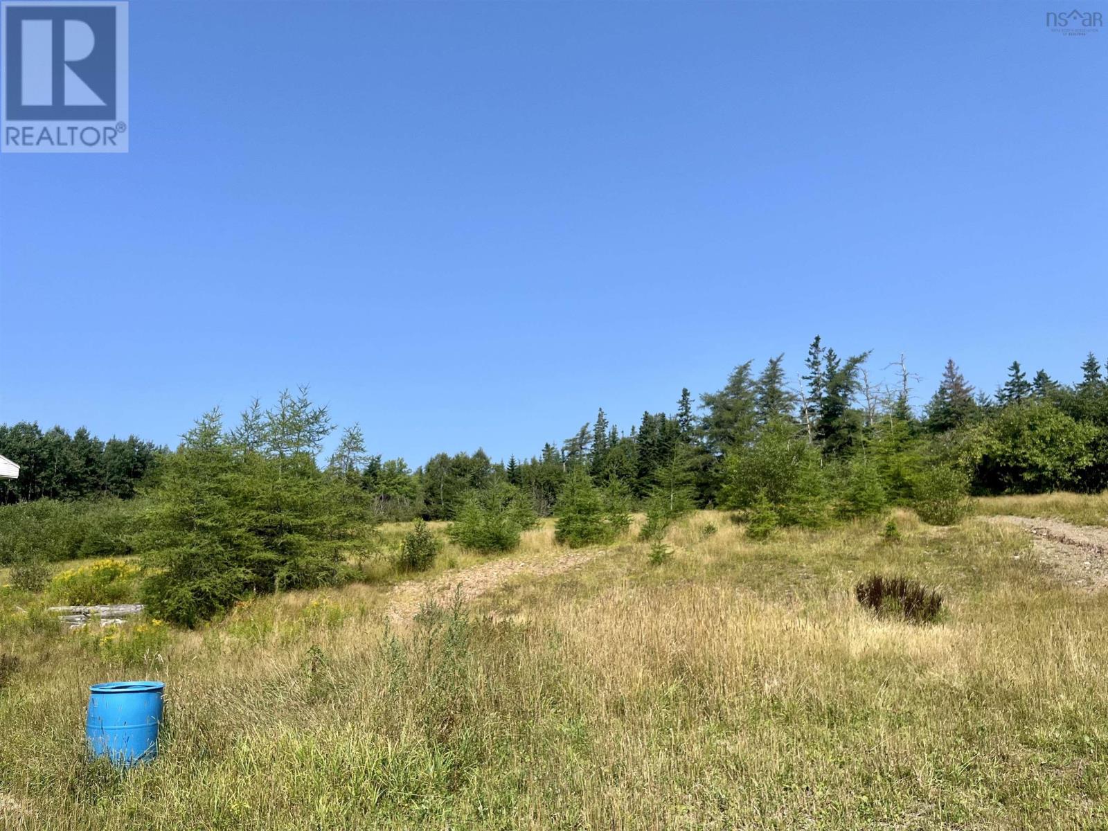 1520 Back Road, River Bourgeois, Nova Scotia  B0E 2X0 - Photo 46 - 202517346