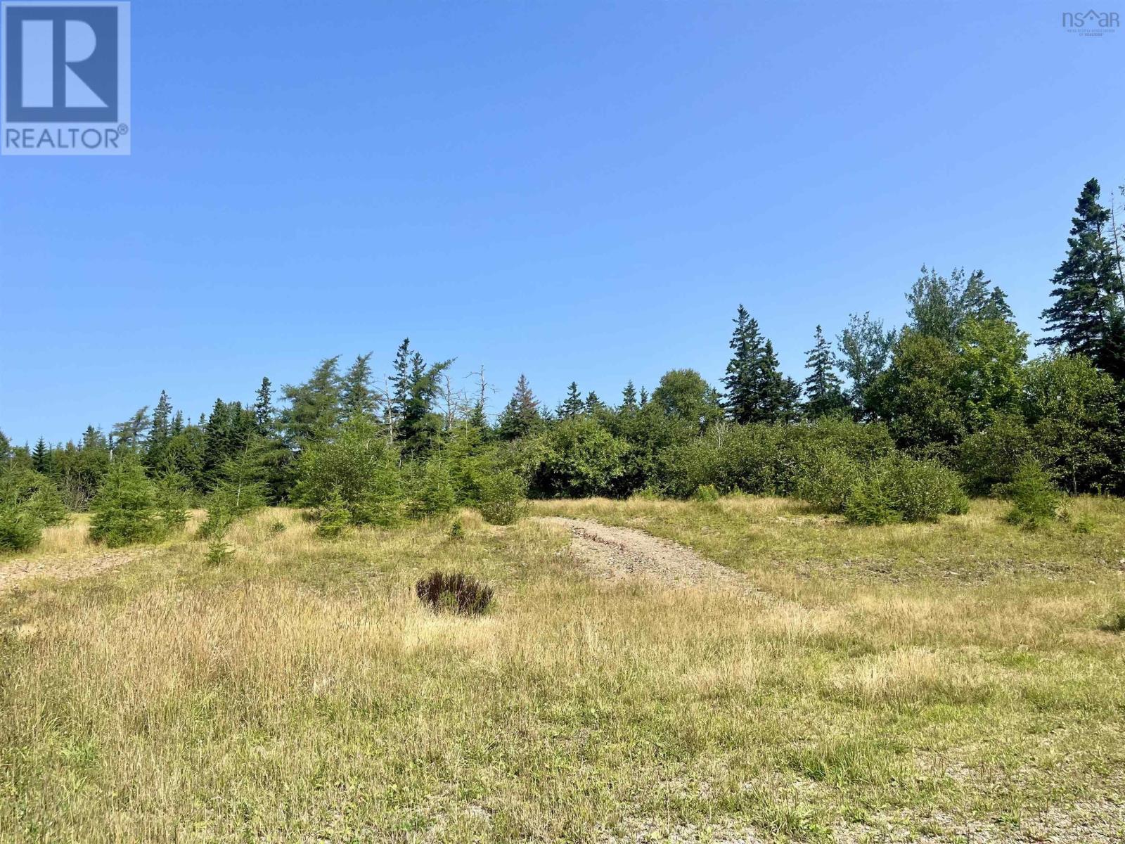 1520 Back Road, River Bourgeois, Nova Scotia  B0E 2X0 - Photo 48 - 202517346